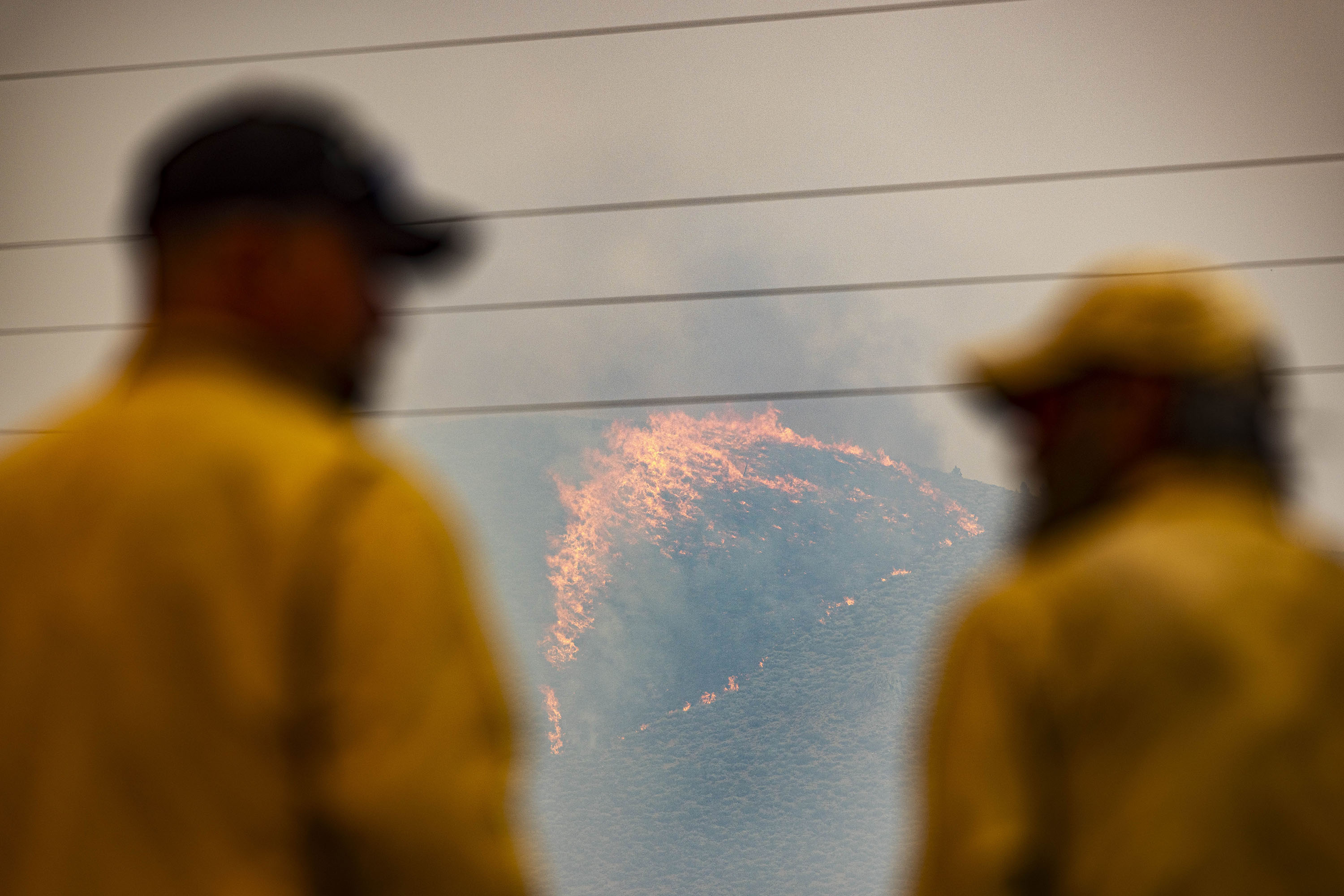 WAPITI FIRE 04