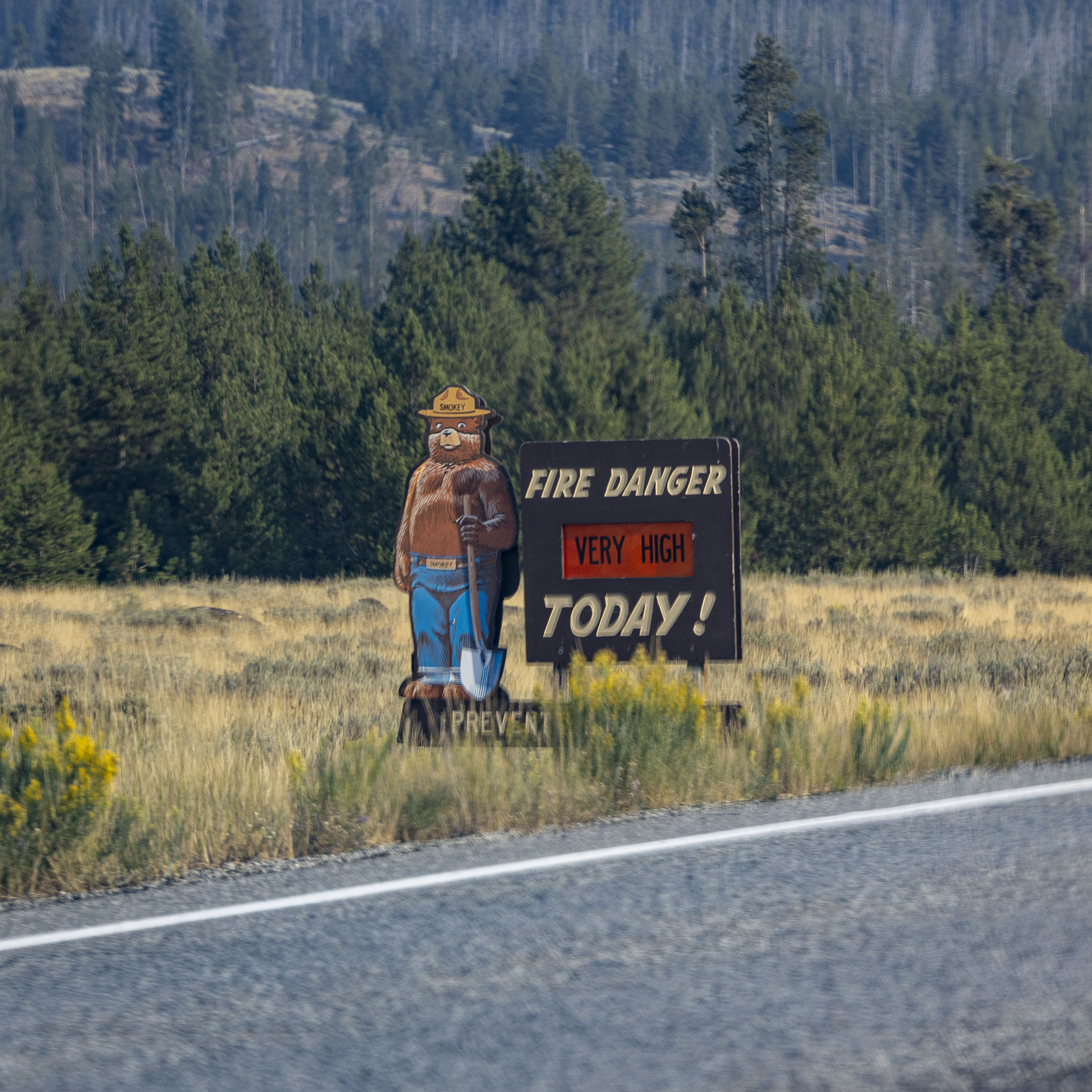 WAPITI FIRE 03