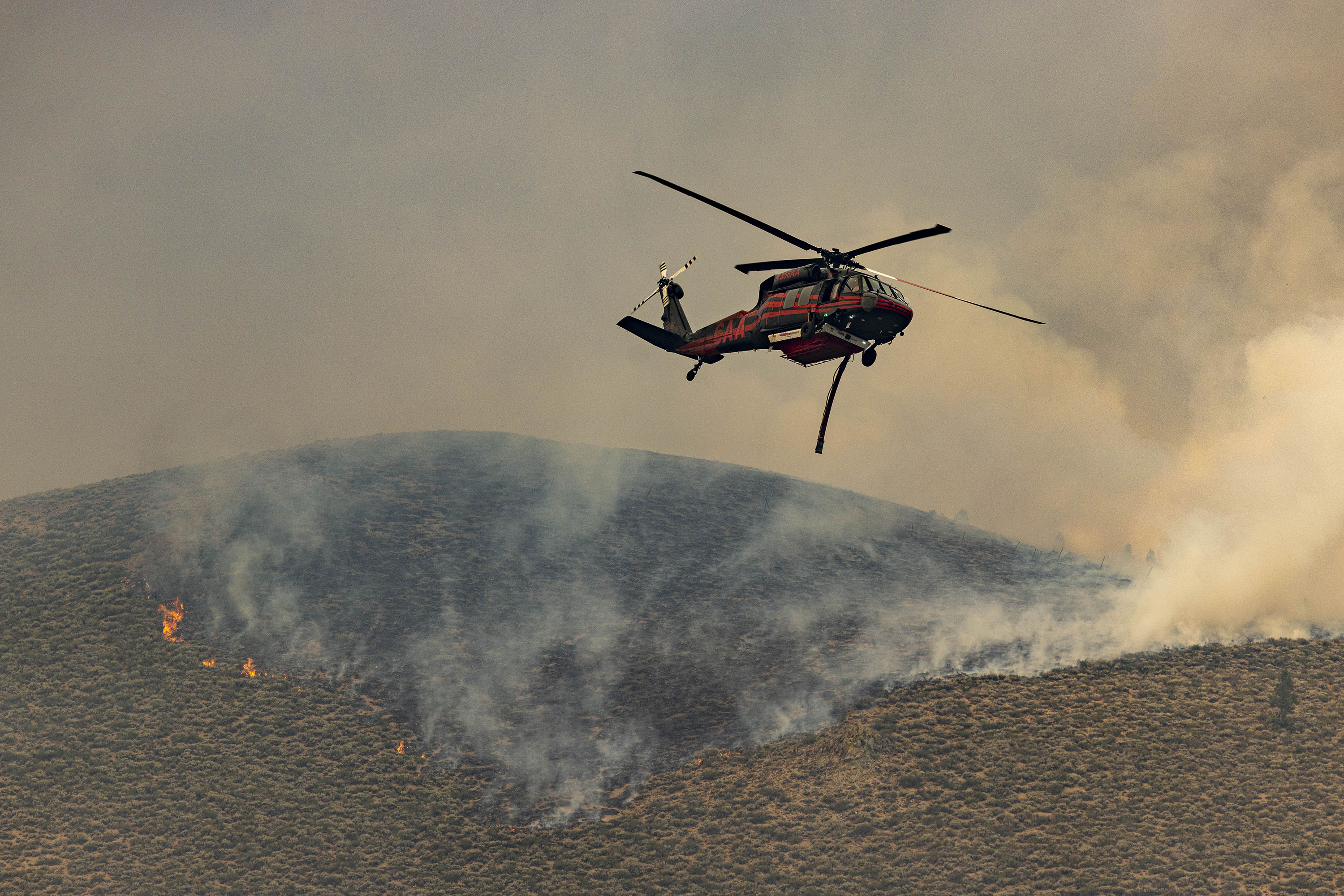 WAPITI FIRE 01