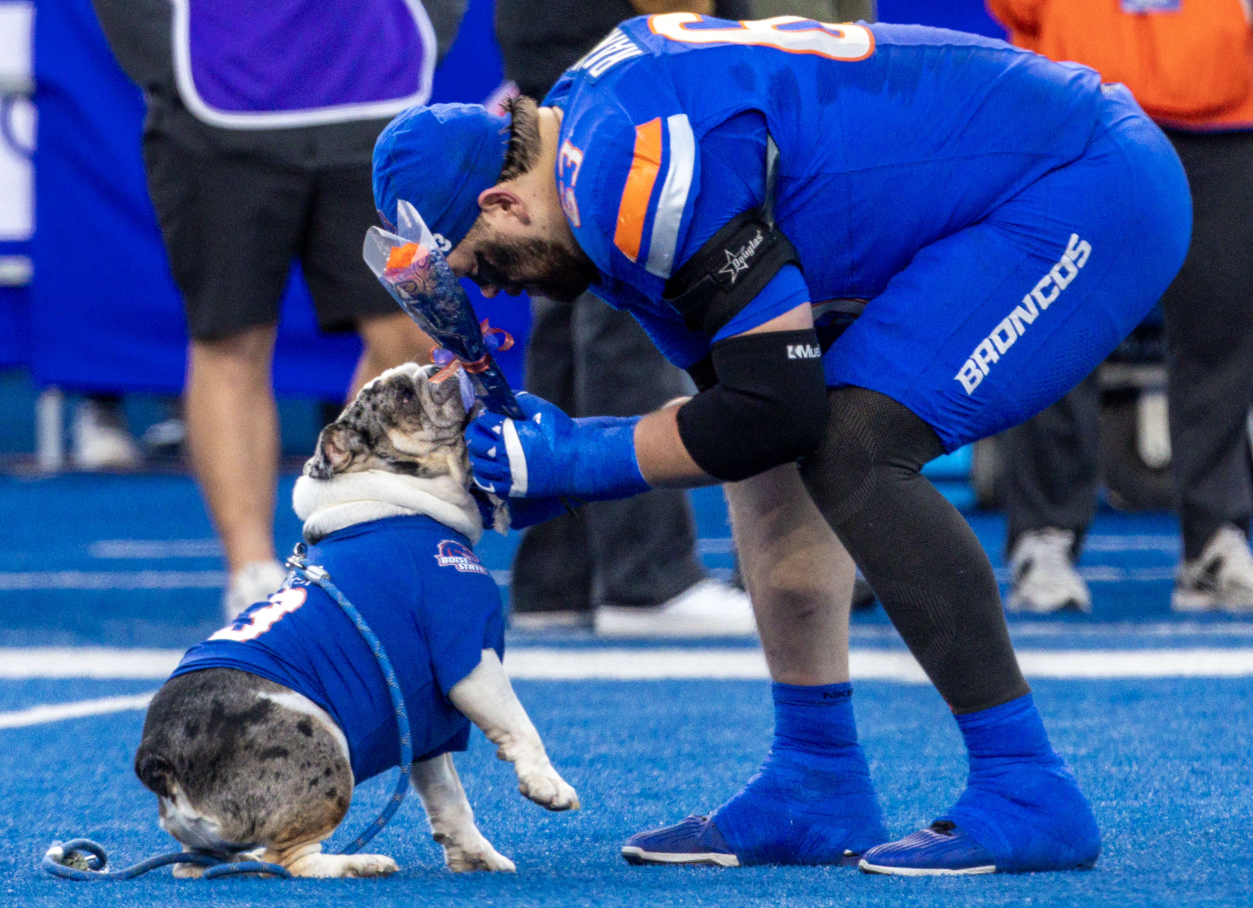 Lineman's Best Friend