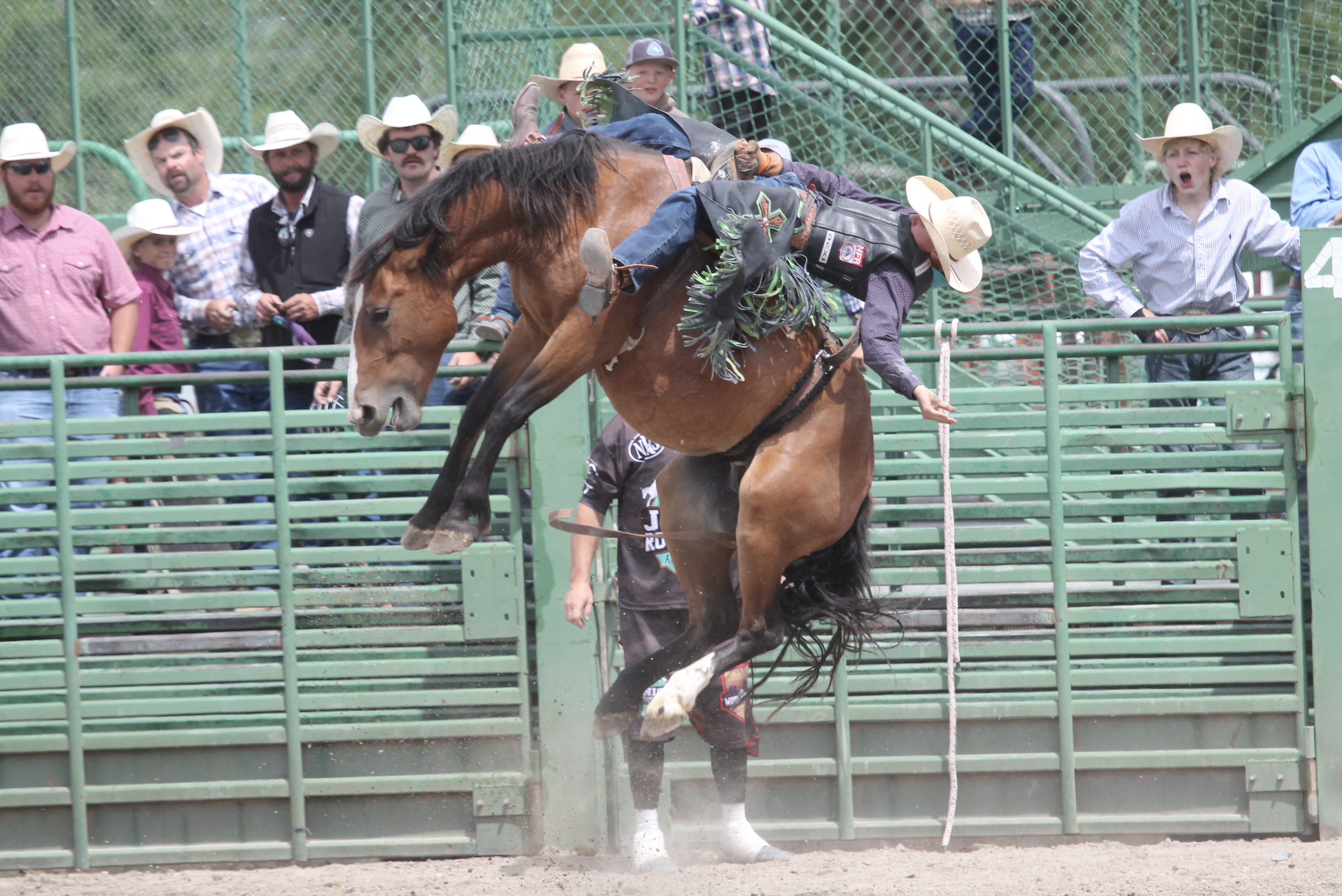 KRSV Best Photography Dahl Erickson