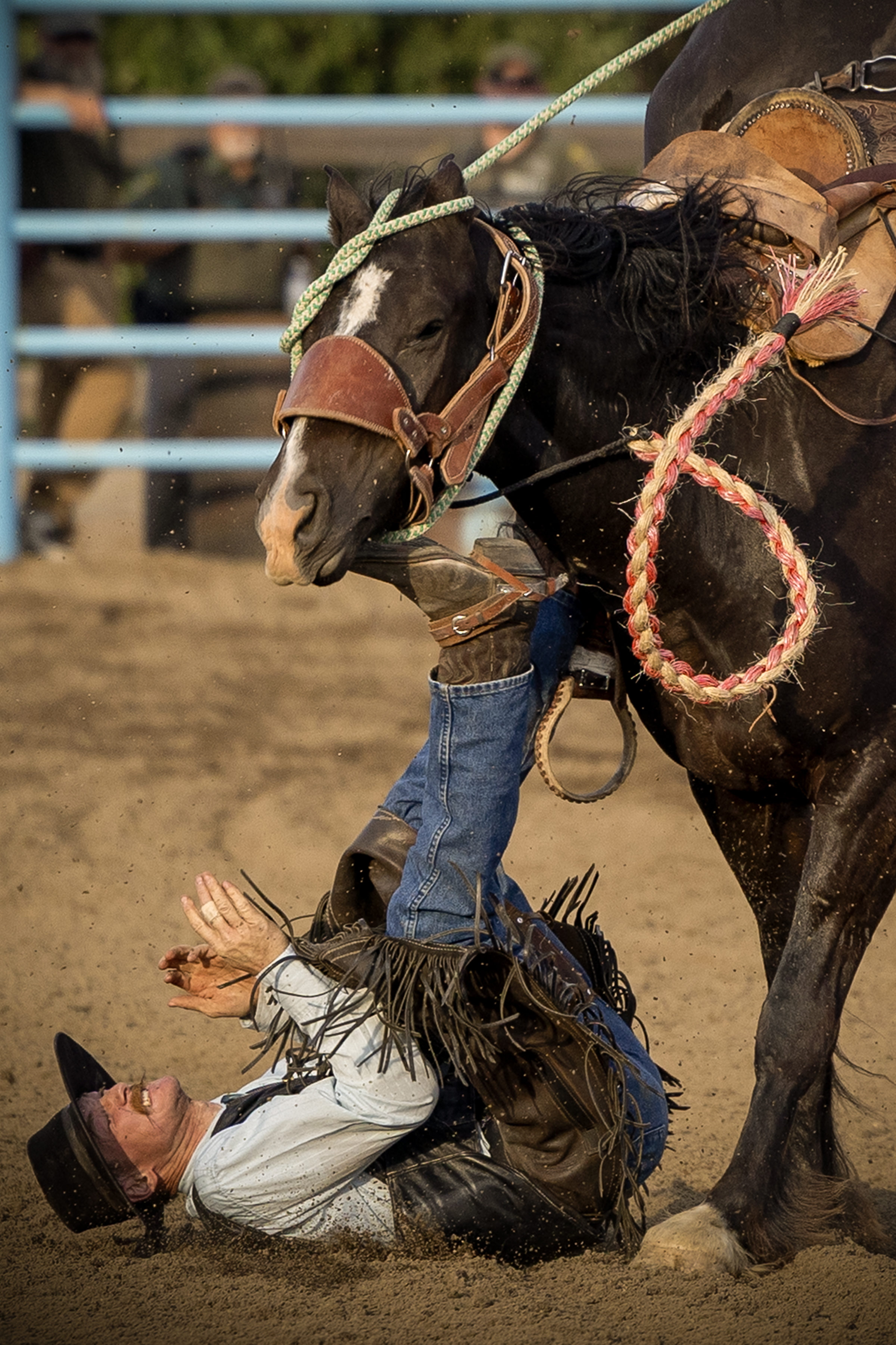 Washington County Fair
