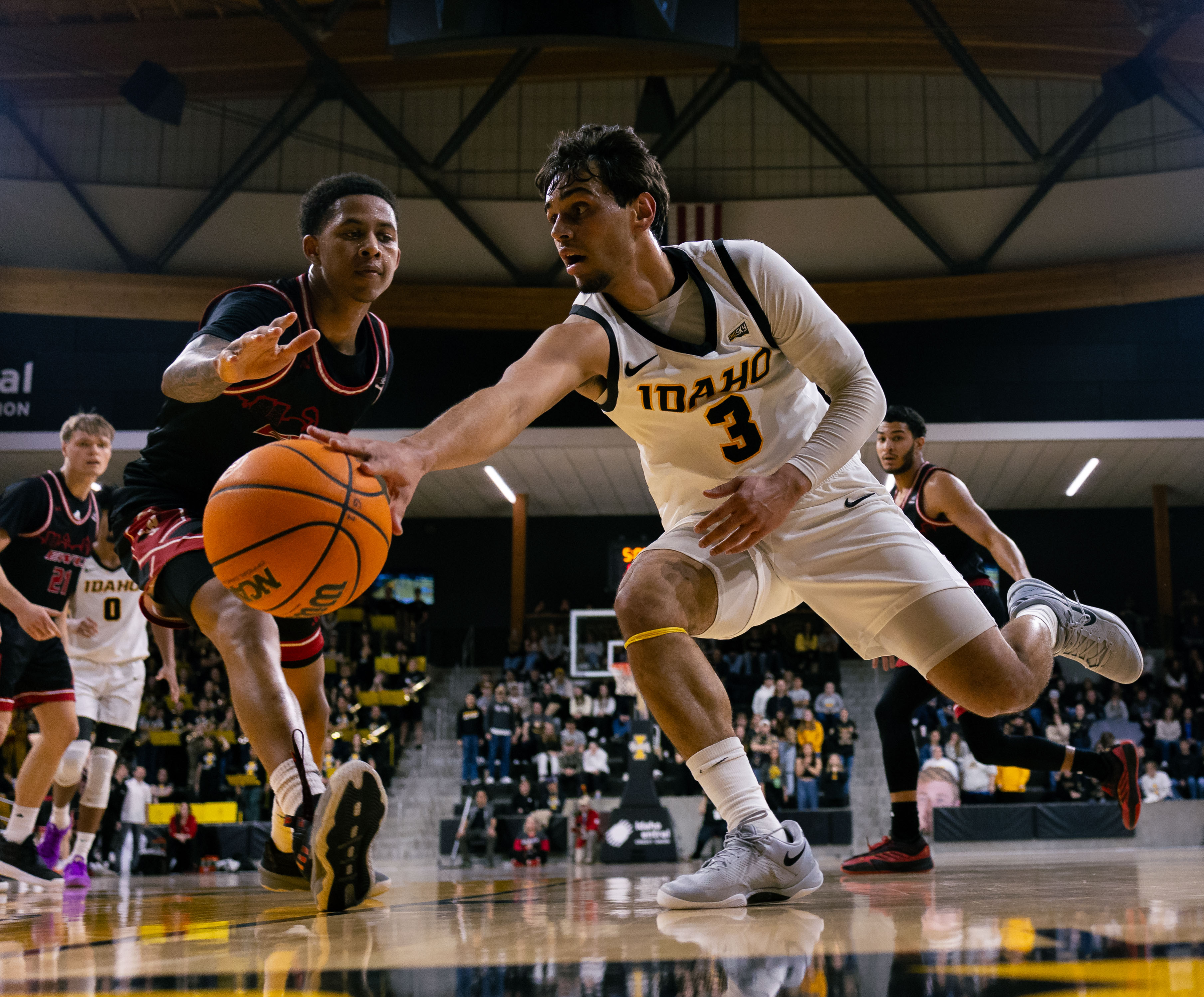 The Argonaut's Best Photos 2025