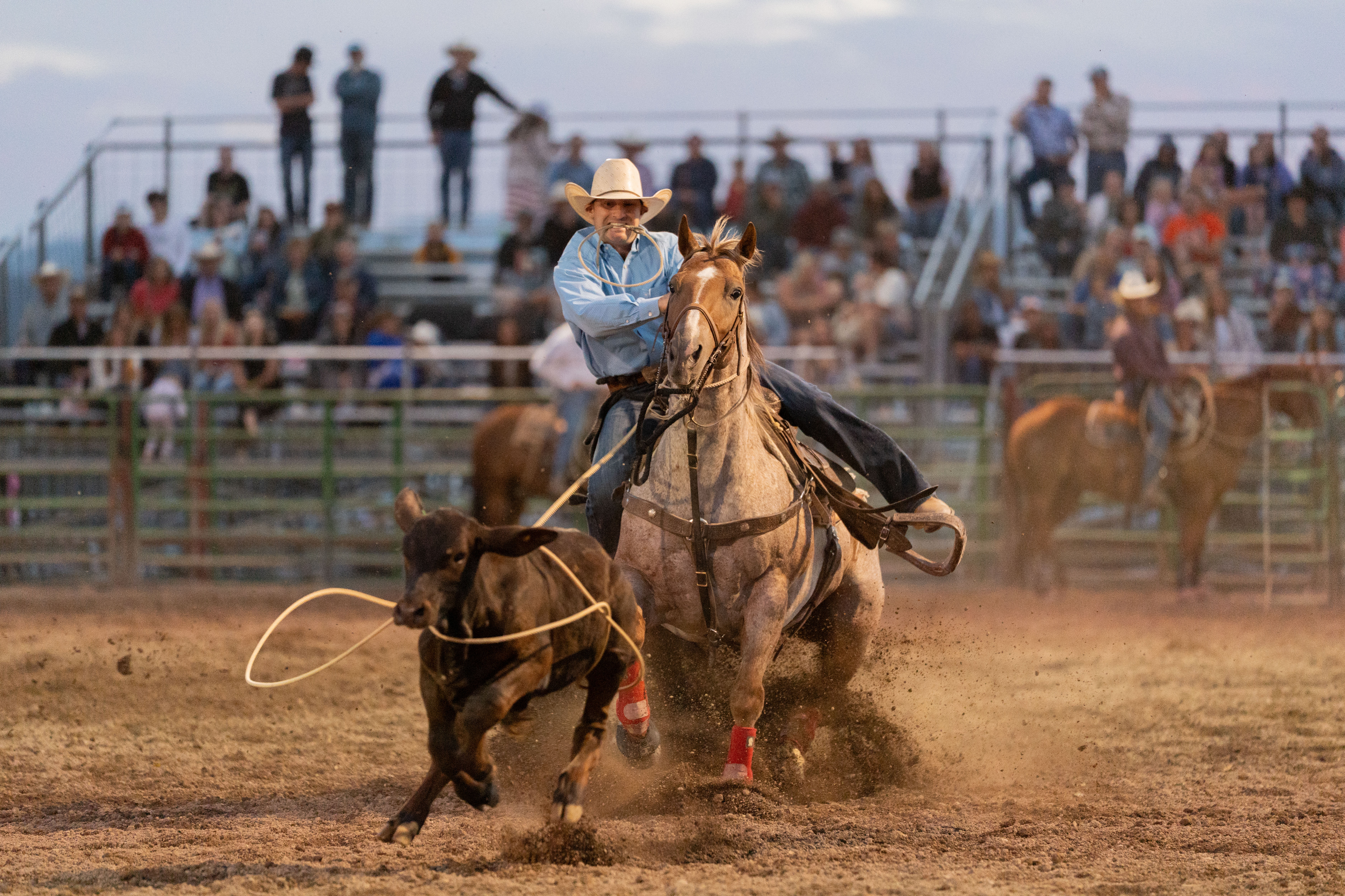 SVI Photography Aubrey